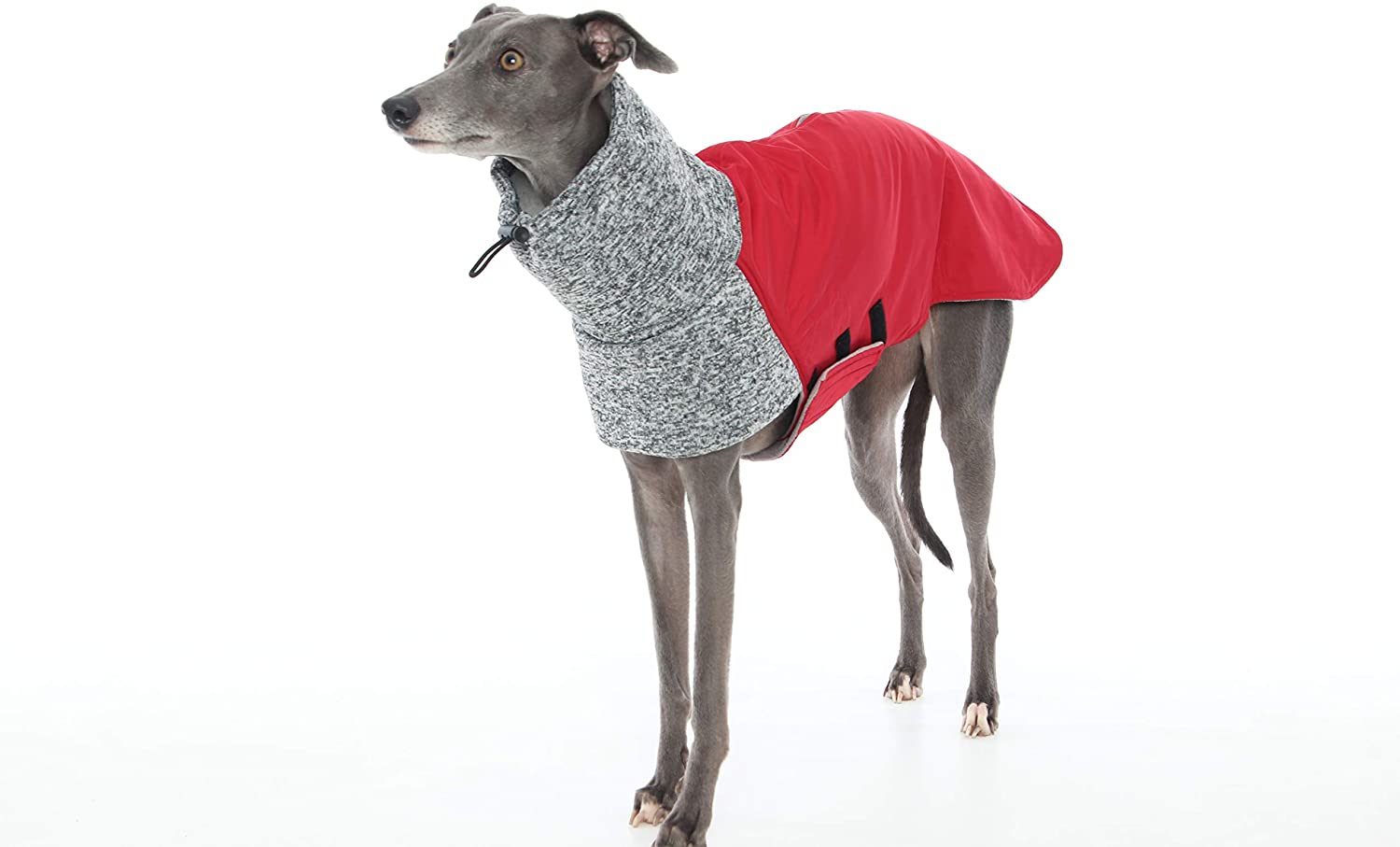 The Trendy Whippet Abrigo de Forro Polar para Todo Tipo de Clima, Color Rojo y Gris Oscuro, diseño de Galgo, Lurcher, Saluki, Sighthound 