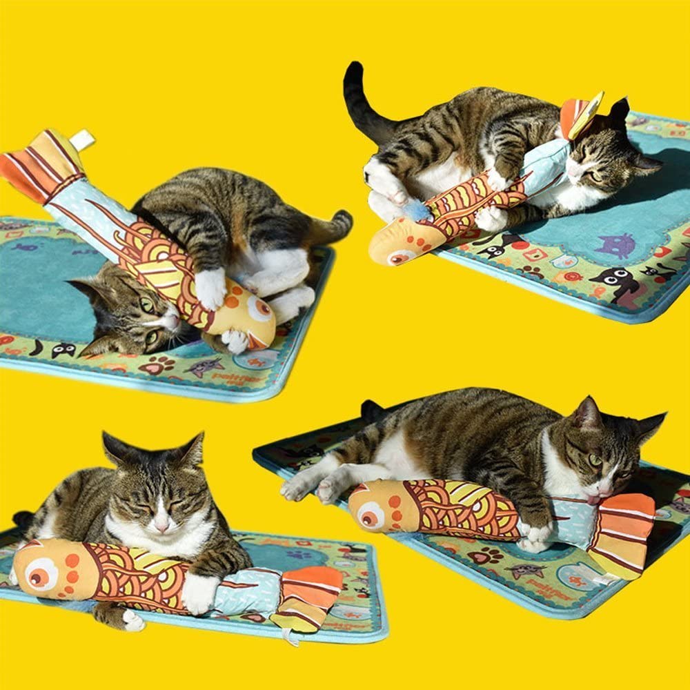  ThxMadam Gato Interactivo Juguete con Hierba Gatera Cat Scratcher Cat Toy with Catnip 