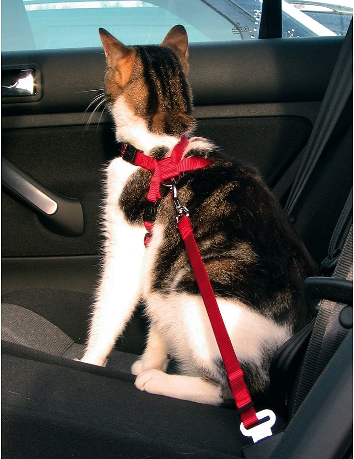  Trixie - Arnés de coche para gatos 