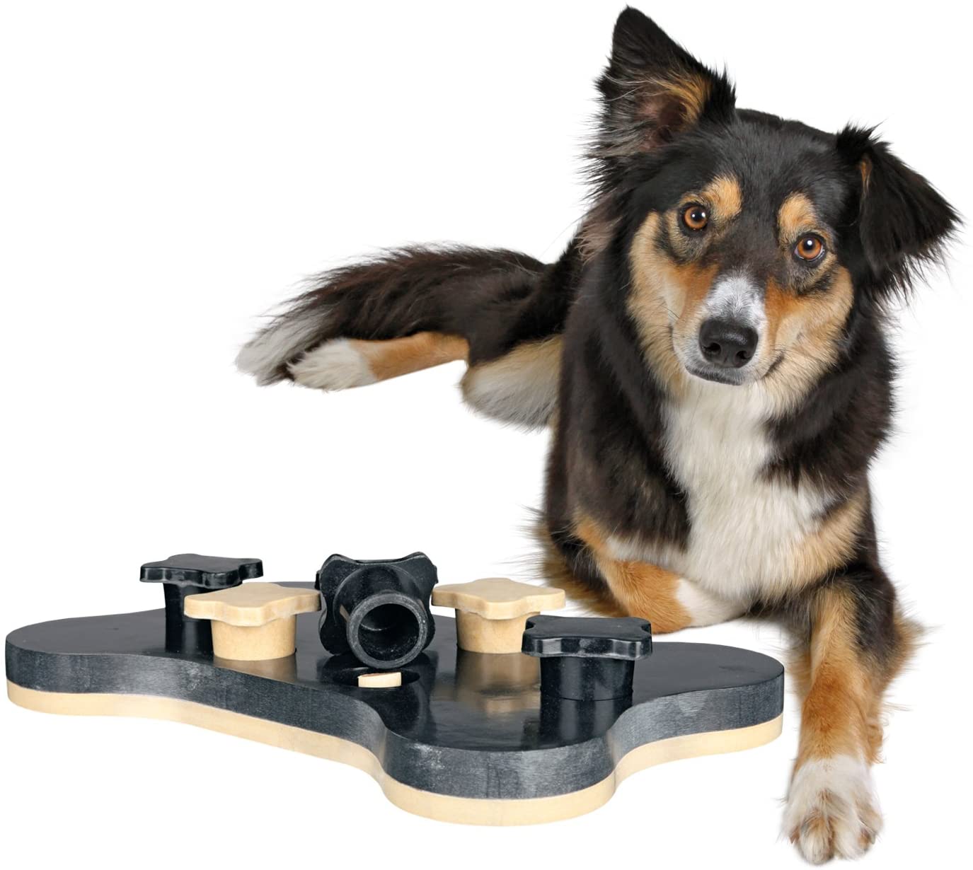  Trixie Dog Activity Juego Interactivo - Juguete para Perros Accesorios para Perros Dog Activity Game Bone 31x20 cm Nivel 1 y 2 