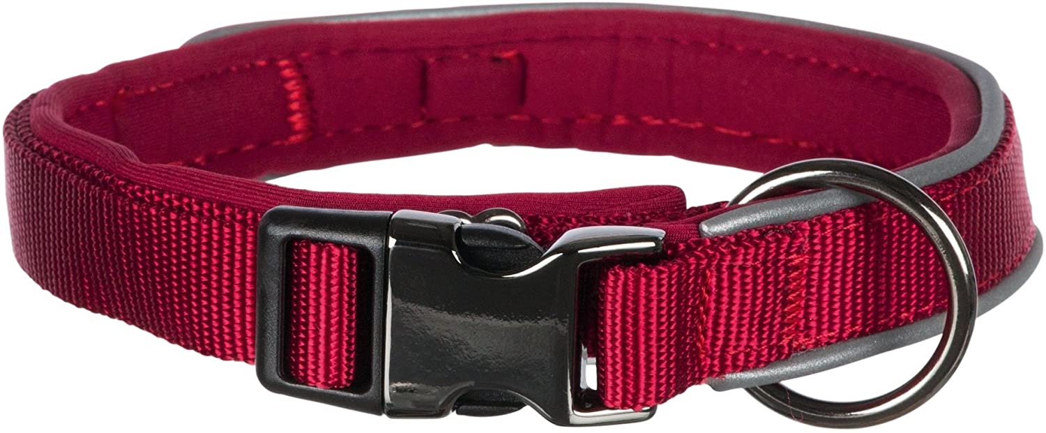  Trixie Expérience Collar Negro para Perro, 30 – 40 cm/15 mm, Talla XS/S 