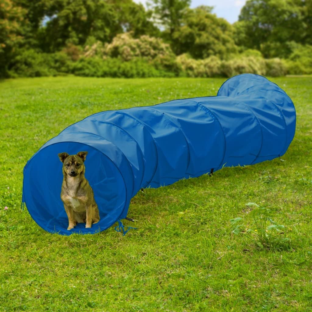  Tunel de ejercicios para perros agility azul 