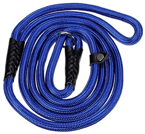  UEETEK 2 piezas para mascotas perro formación correa ajustable de Nylon plomo cuerda de tracción de lazo para perros 150cm azul 