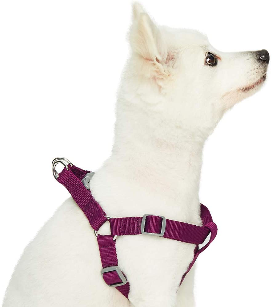  Umi. Essential Classic - Arnés para perros L, contorno del pecho 67-98 cm, arneses ajustables para perros (morado) 