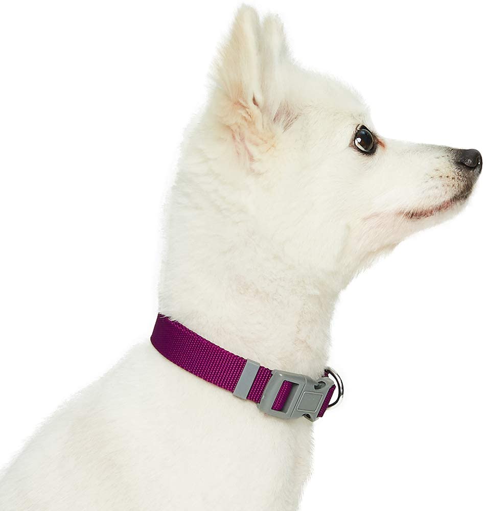  Umi. Essential Classic - Collar para perros L, cuello 45-66 cm, collares ajustables para perros (morado) 