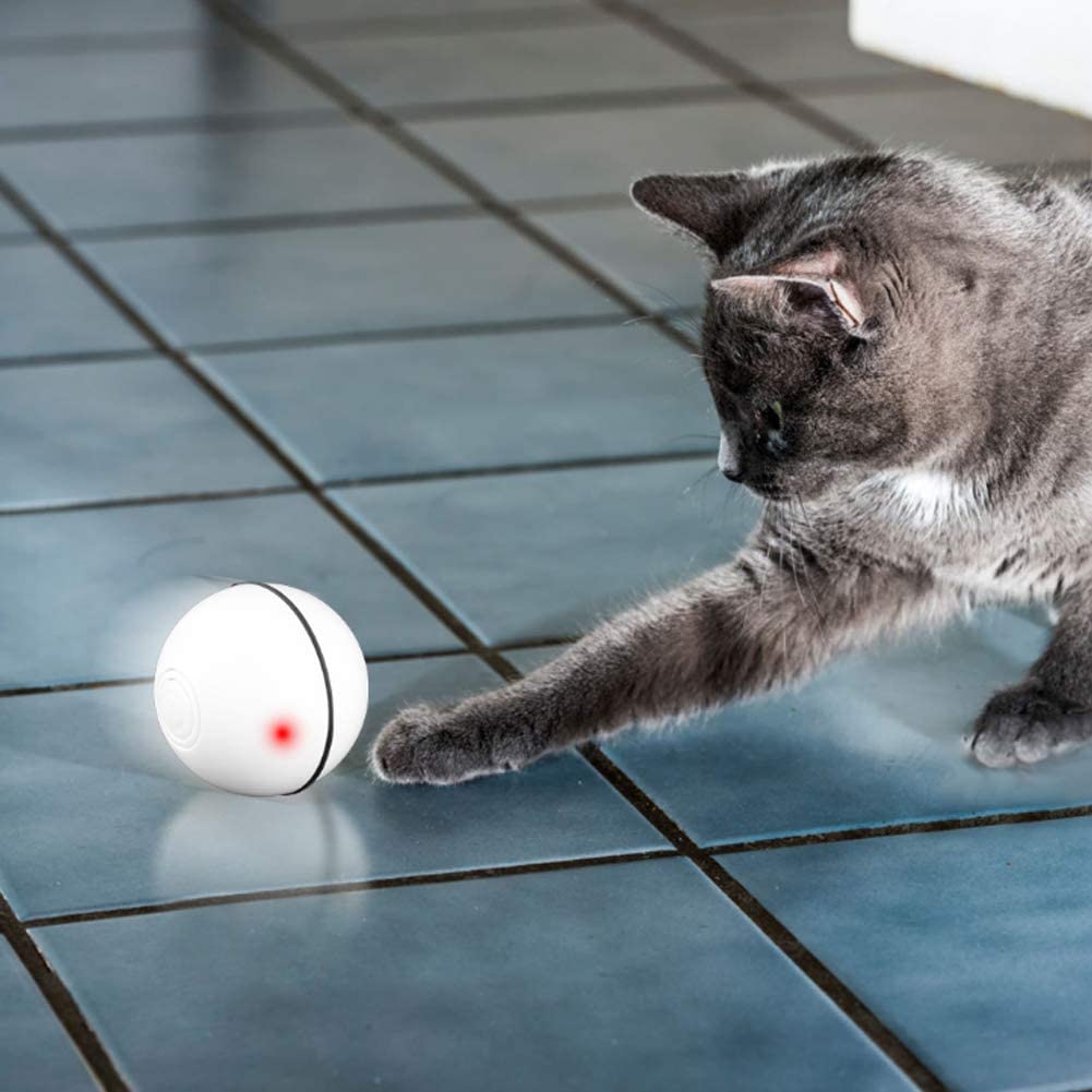  Vintoney Pelota de Gatos Movimiento Pelota de Ejercicio Gatos Bola Recargable de Giratoria para Mascotas, Juguete Interactivo para Perros y Gatos (Blanco) 