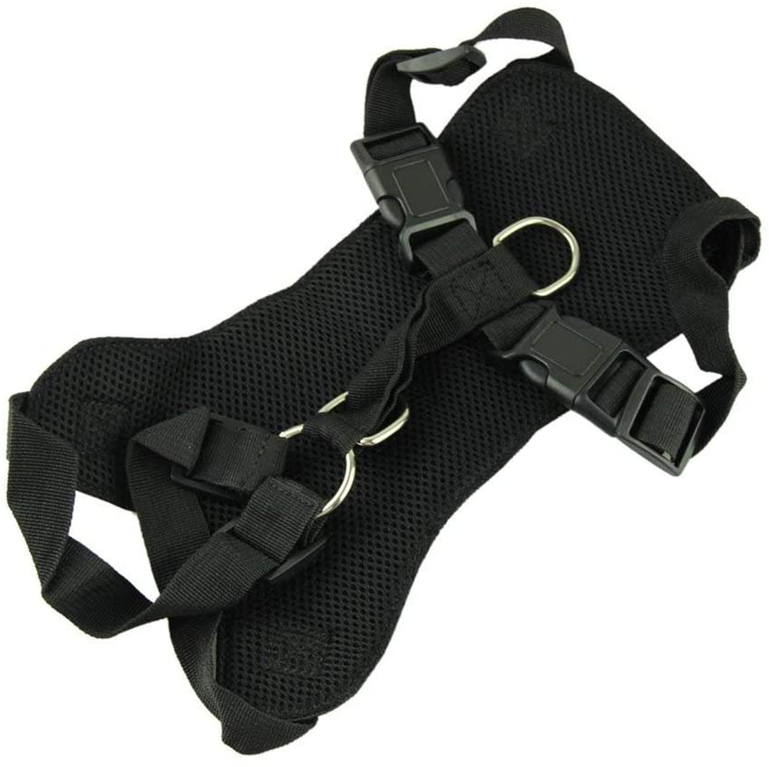  XCSSKG - Cinturón de Seguridad para Perro, Gato o Mascota, Talla M (Cuello: 35 cm – 45 cm, Pecho 48 cm – 58 cm) 