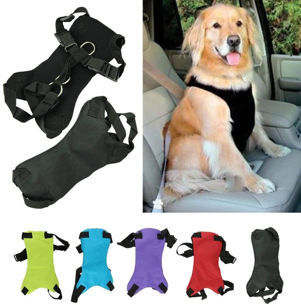  XCSSKG - Cinturón de Seguridad para Perro, Gato o Mascota, Talla M (Cuello: 35 cm – 45 cm, Pecho 48 cm – 58 cm) 
