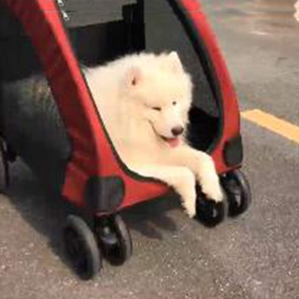  YPYJ Pet Suministros Carrito de Viaje para Mascotas Carrito de Perro Carrito de rehabilitación vehículo de Rescate para Perros medianos y Grandes 