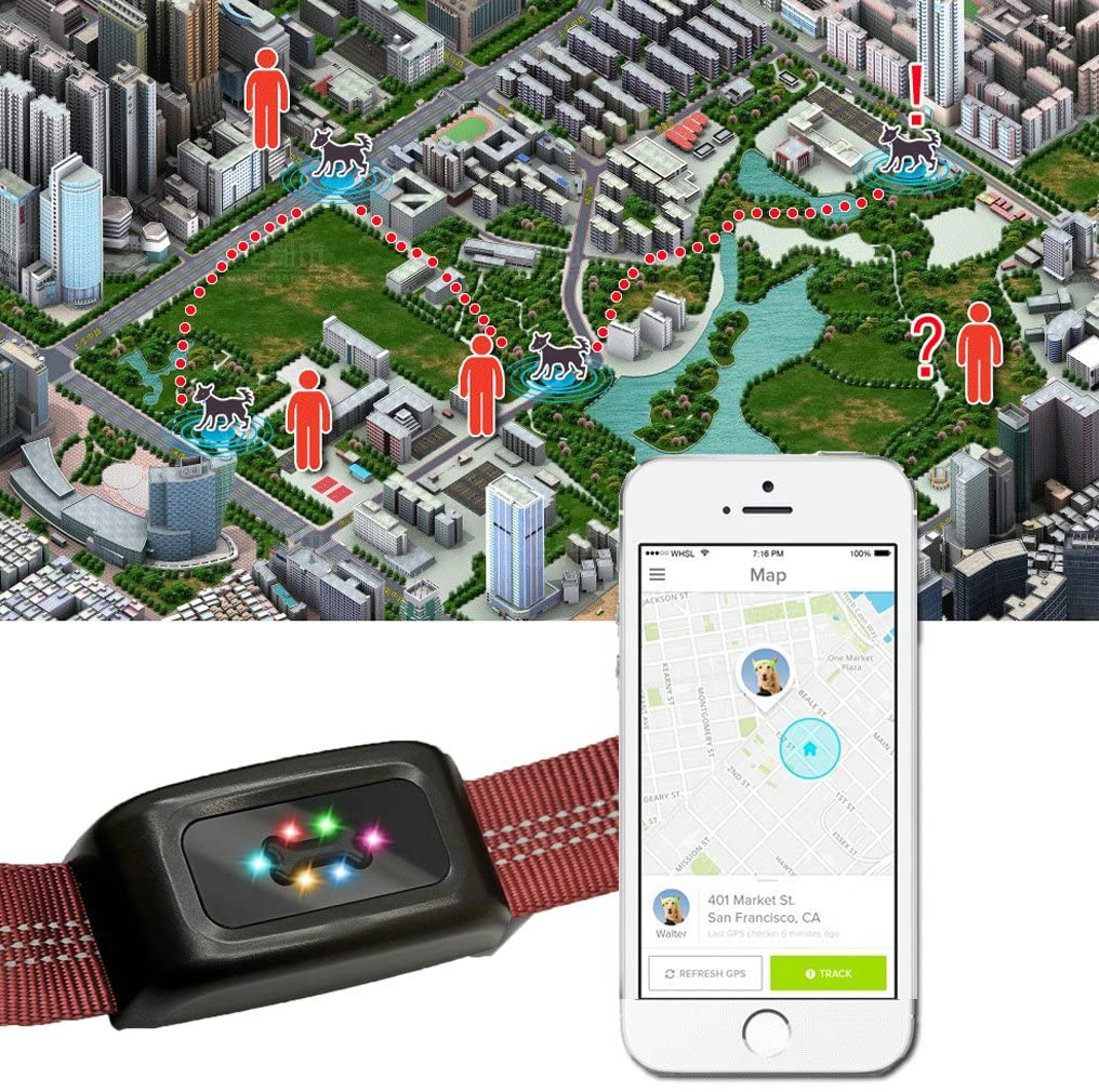  Zimingu GPS seguimiento para mascota, largo tiempo en espera, minilocalizador para mascota, impermeable con luz LED de colores 
