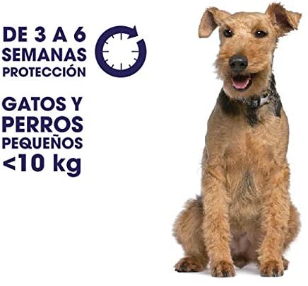  Zotal Parasital Pipetas Antiparasitarias para Perros Medianos de 10 a 25 kg 