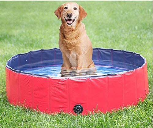 100 * 30 cm Grande de plástico Duro Plegable Plegable para remar Perro Piscina para Mascotas Perro Plegable para Mascotas casa de natación Cama Piscina de Verano Verde 