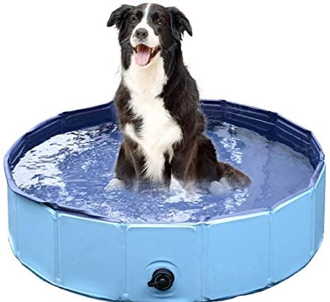  160 * 30 cm Grande de plástico Duro Plegable Plegable para remar Perro Piscina para Mascotas Perro Plegable para Mascotas casa de natación Cama Verano Piscina Azul 