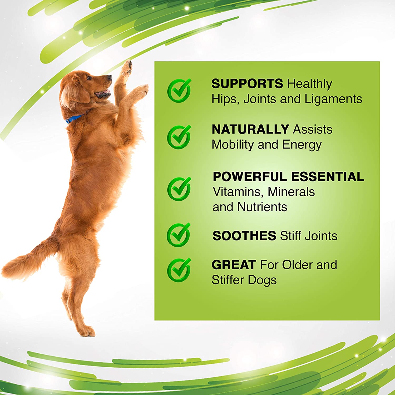  Advanced Hip and Joint Support Glucosamine for Dogs - Powerful Chondroitin, MSM, Curcumin & Green Lipped Mussel Dog Joint Supplement - with Vitamins E & C, 120 Tablets, Made in UK 