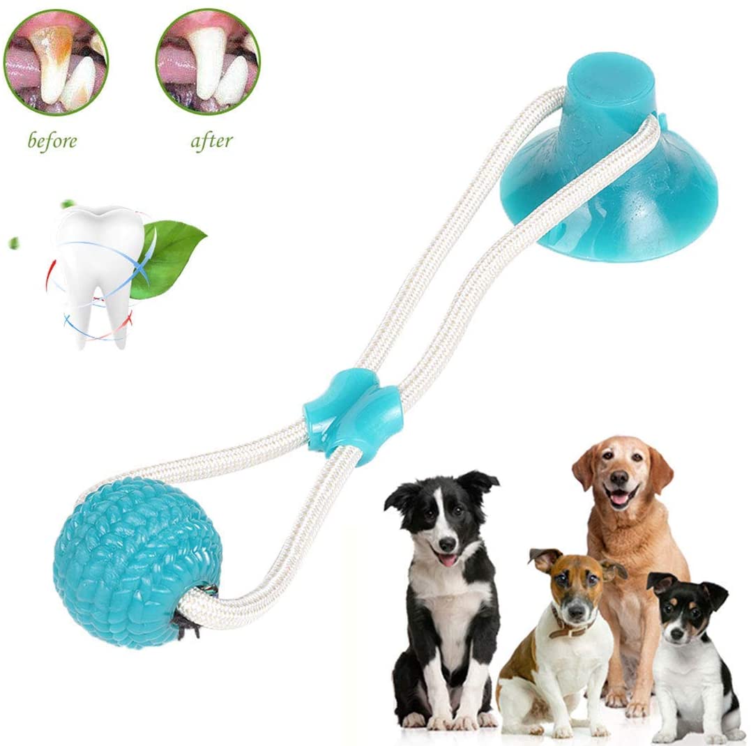  AIDIYA Juguete para Perros Juguete de Bola de Cuerda de tirón para Perros Duradero con Ventosa: jalar, Masticar, Jugar, Perros y Cachorros Adultos (Verde) 