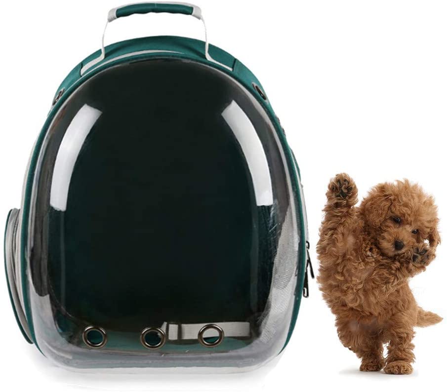  AlwaySky Mochila para Transportar Mascotas, aprobada por la aerolínea, para Perros, Transpirable, Mochila portátil para Transportar Burbujas, para Perros de Raza pequeña y Mediana 