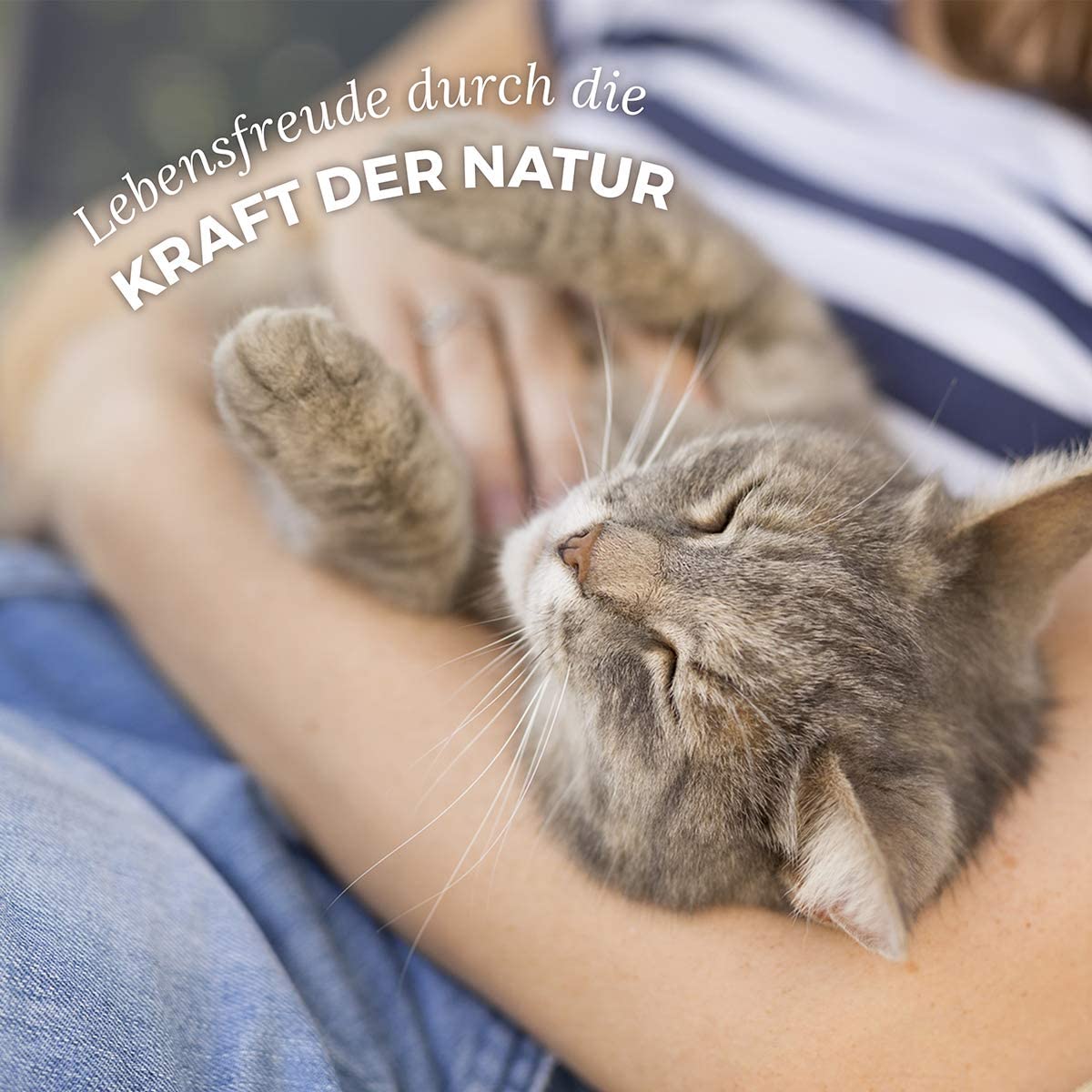  AniForte WermiX en polvo para gatos 25g - producto natural para antes, durante y después de la infestación de gusanos, el ajenjo y las hierbas naturales ayudan al estómago y el intestino 