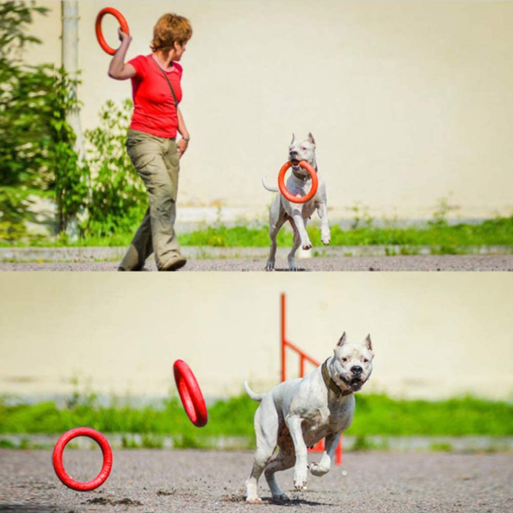  AOTUO New Dog Agility Training Toys EVA Ring Dogs Puppy Toys Dientes de Limpieza mordedura Resistente interactiva Perros Juguetes Size Small(17cm) (Orange) 
