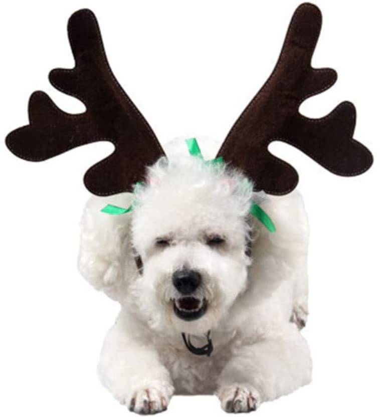  BESTOYARD Diadema Cuernos para Mascota Reno Cuernos Ciervo Disfraz Perro Decoracion Navidad 