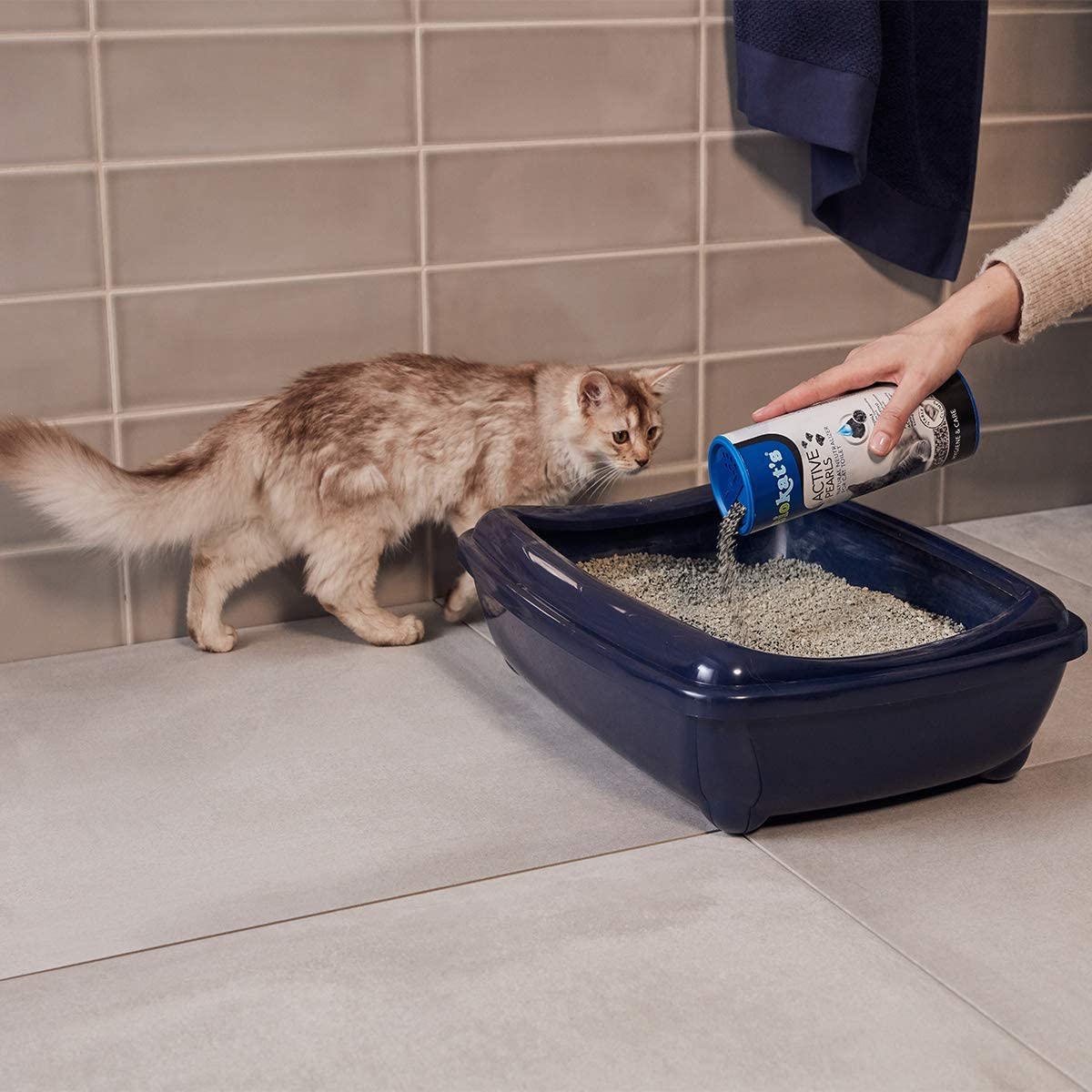  Biokat's Active Pearls con carbón activo – Aditivo neutralizador de olores para areneros de gatos – Prolonga el uso de la arena para gatos de uso común – 1 bote (1 x 700 ml) 
