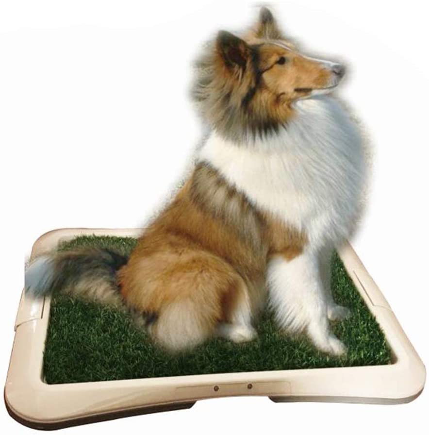  BPS Bandeja Sanitaria para Perros de Adecuado para Perra Adiestramiento Inodoro Interior para Perros Aseo Mascotas Plástico Color al Azar (Hierba: 64 x 48 x 4 cm) BPS-5704 