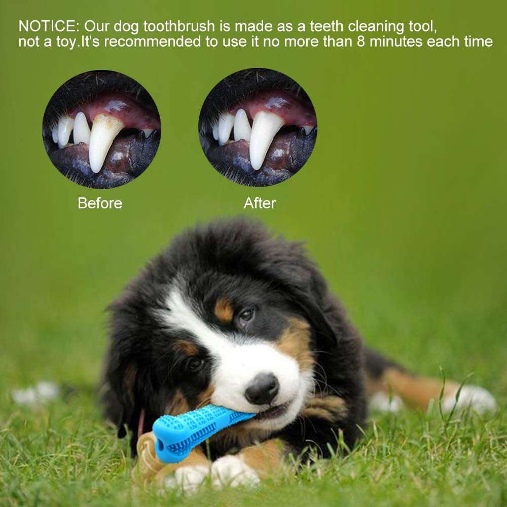  Cepillo de dientes Hamkaw para perros, no tóxico, resistente a mordidas, de goma natural, para masticar perros, hueso, cuidado dental, limpieza eficaz de dientes para perros, mascotas, cuidado oral 