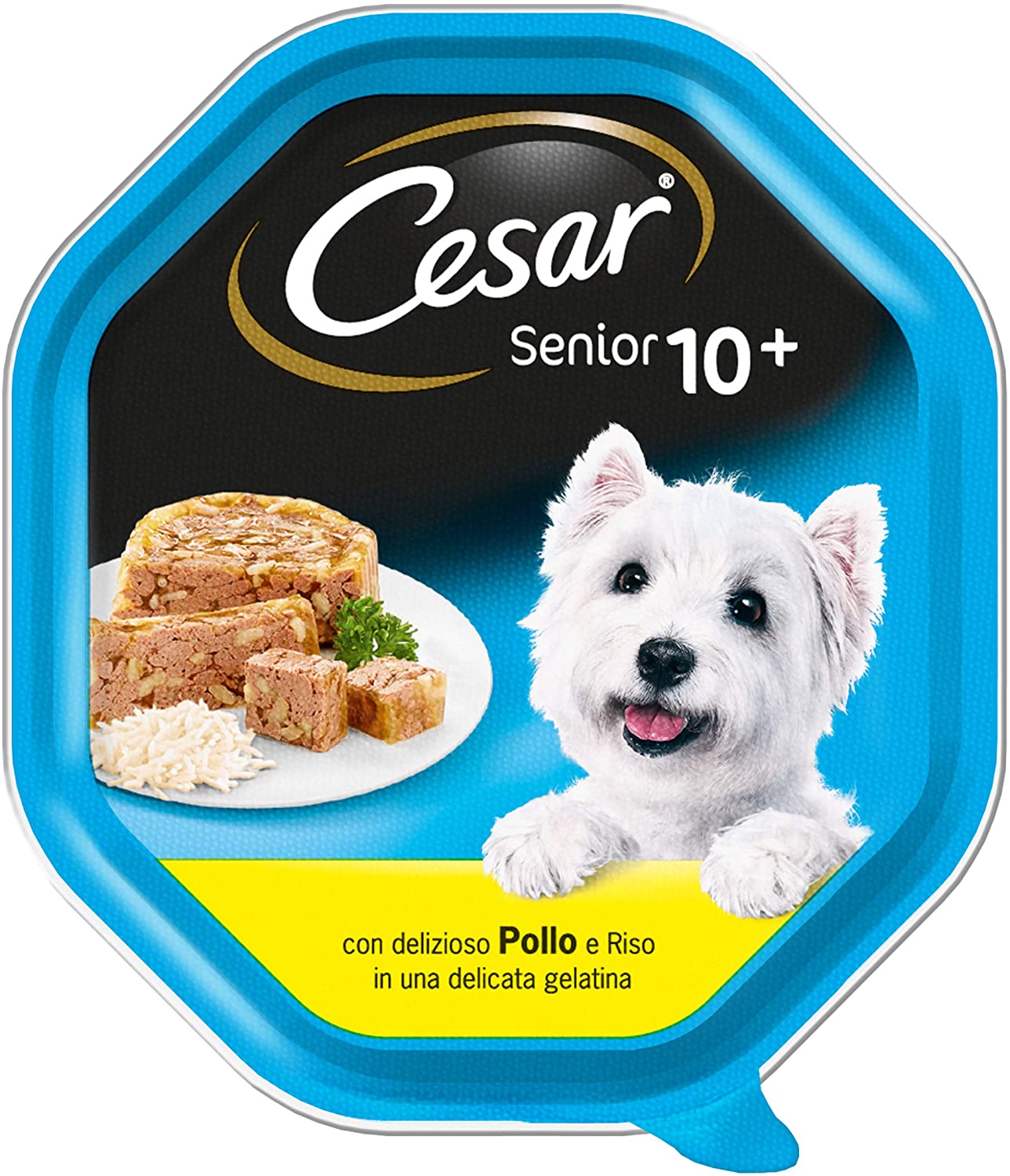  Cesar Senior 10 + con Pollo y arroz en una Delicada gelatina – Paquete de 14 Unidades 
