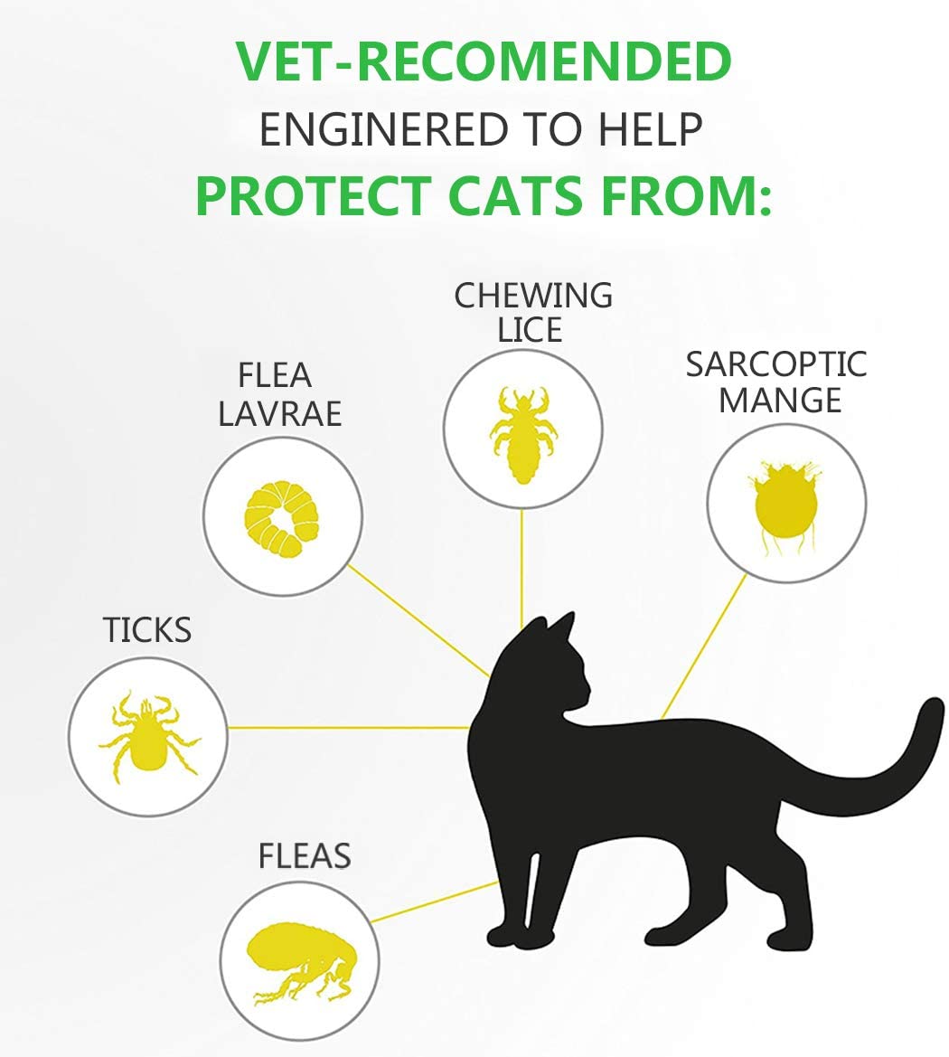  Collar Antiparasitario para Gatos, Protección de 8 Meses, Antialérgico, Ajustable y Resistente al Agua para Pequeña Medio Grande Gatos (35cm) 