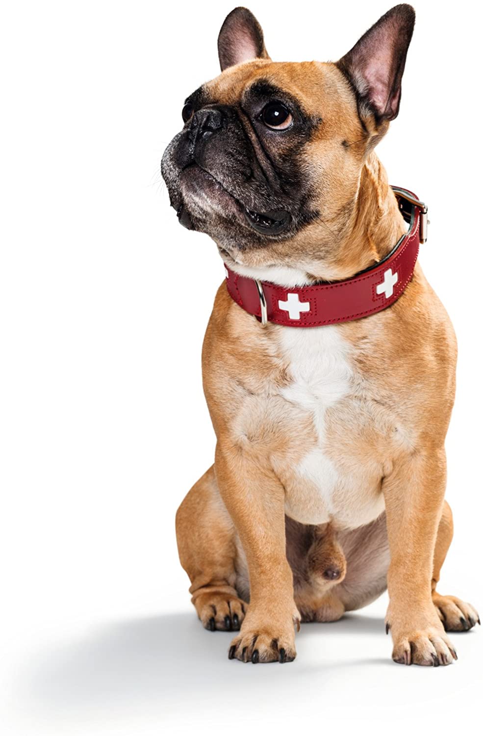  Collar de perro HUNTER Suiza, cuero, 55, rojo / negro 