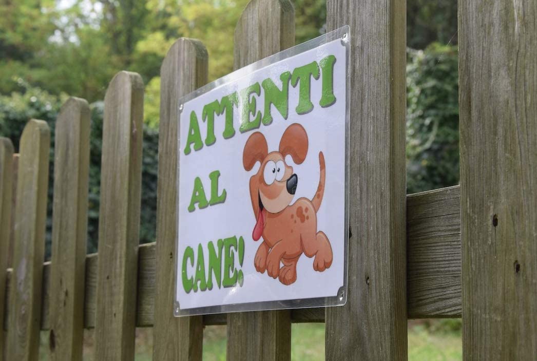  CRAZY FAMILY SHOP Placa Cuidado con EL Perro” para ser aplicada en la Puerta Westy Tamaño 30 x 21.5 cm 