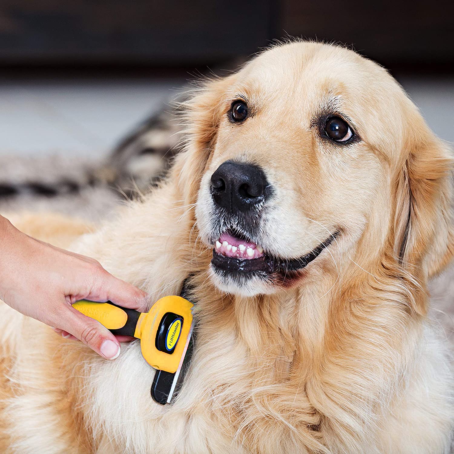  DakPets FURblaster - Cepillo de Aseo para Perros Pequeños, Medianos y Grandes + Gatos con Pelaje Corto a Largo, Color Amarillo 