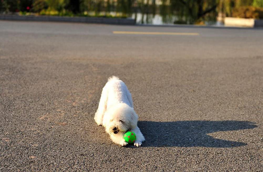 Da.Wa Pelota de Juguete para Mascotas Perros Gatos Los Colores Fluorescentes Color Aleatorio 