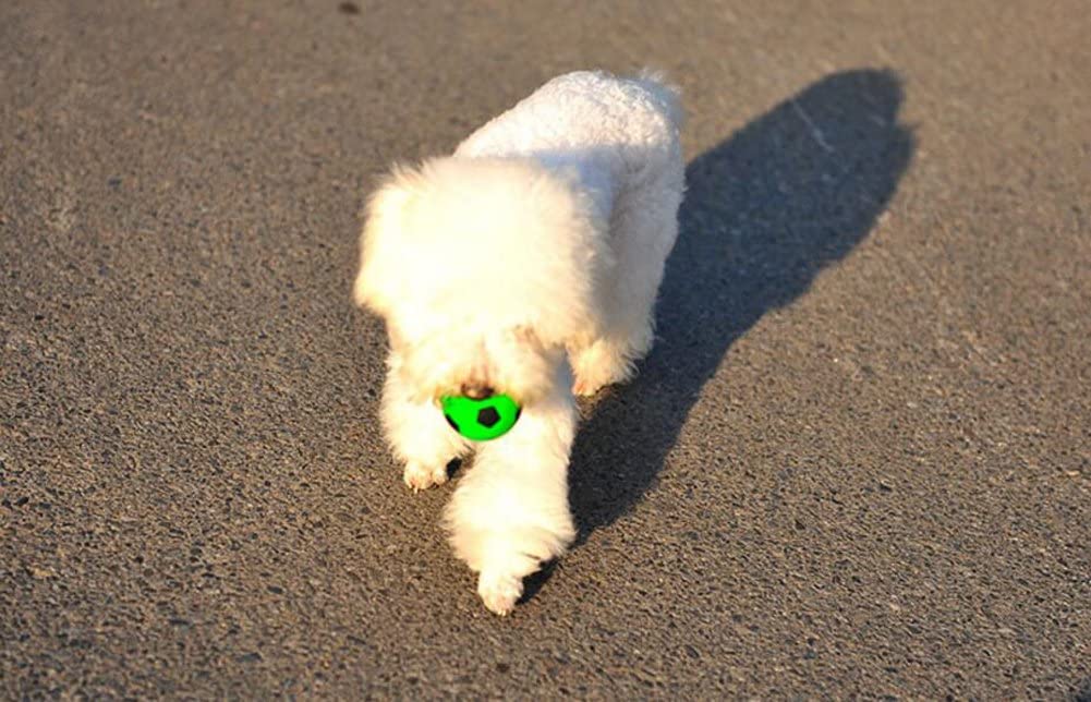  Da.Wa Pelota de Juguete para Mascotas Perros Gatos Los Colores Fluorescentes Color Aleatorio 
