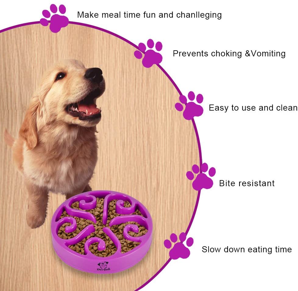  Decyam Comedero Perro Gato, Antideslizante Alimentacion Plato alimentador Tazon Comedero para Mascotas Bebedero Cuenco Bol Recipiente … (Purple) 