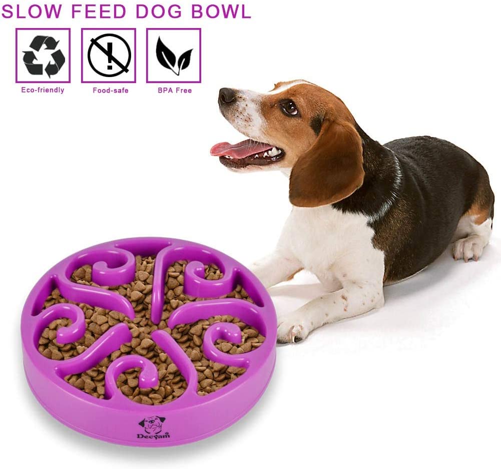  Decyam Comedero Perro Gato, Antideslizante Alimentacion Plato alimentador Tazon Comedero para Mascotas Bebedero Cuenco Bol Recipiente … (Purple) 