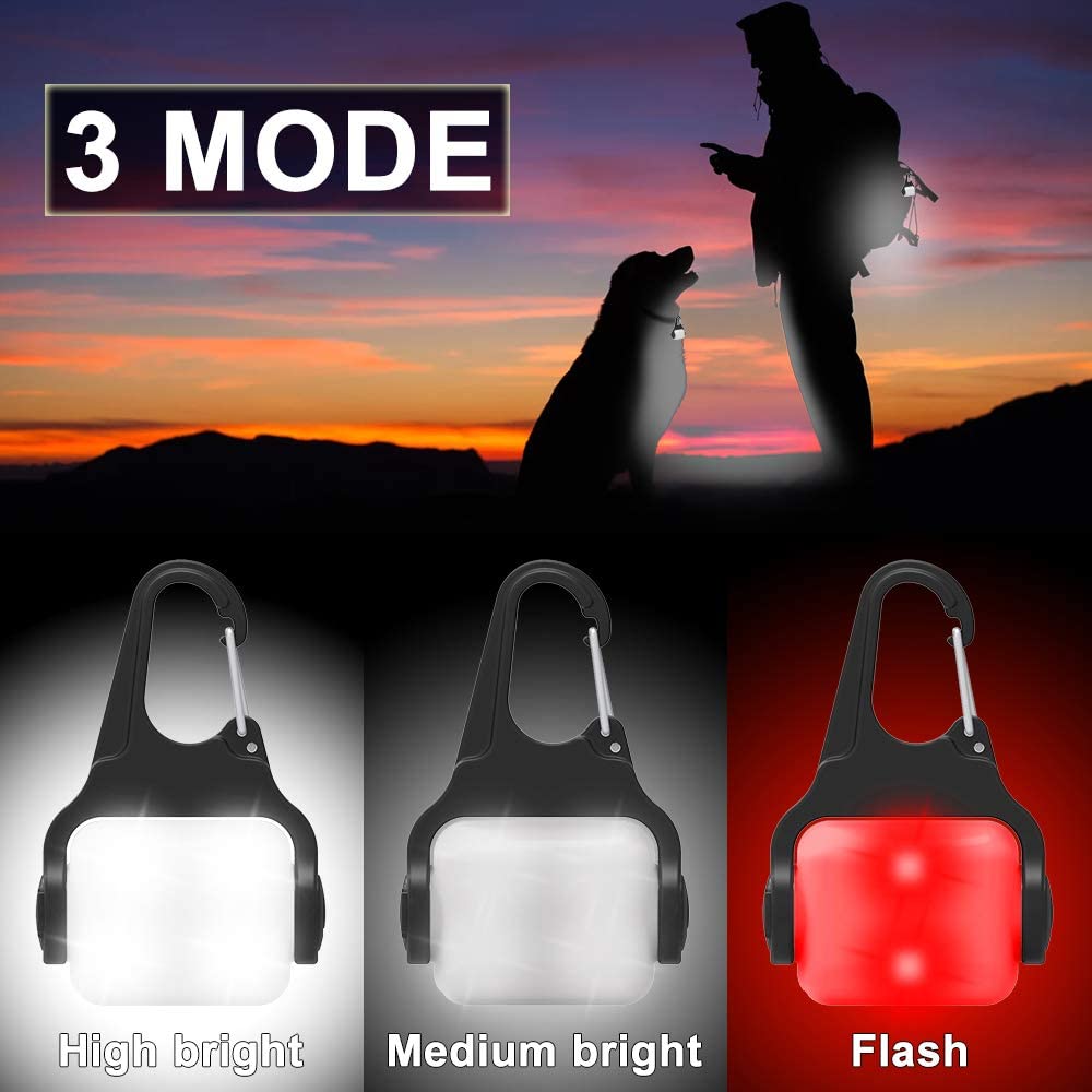  Derlights - Collar de Perro con luz LED, Recargable por USB, luz de Seguridad para la Oscuridad, IP65, Impermeable 