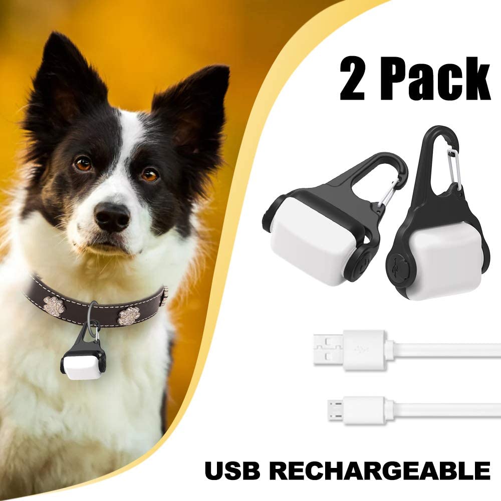  Derlights - Collar de Perro con luz LED, Recargable por USB, luz de Seguridad para la Oscuridad, IP65, Impermeable 