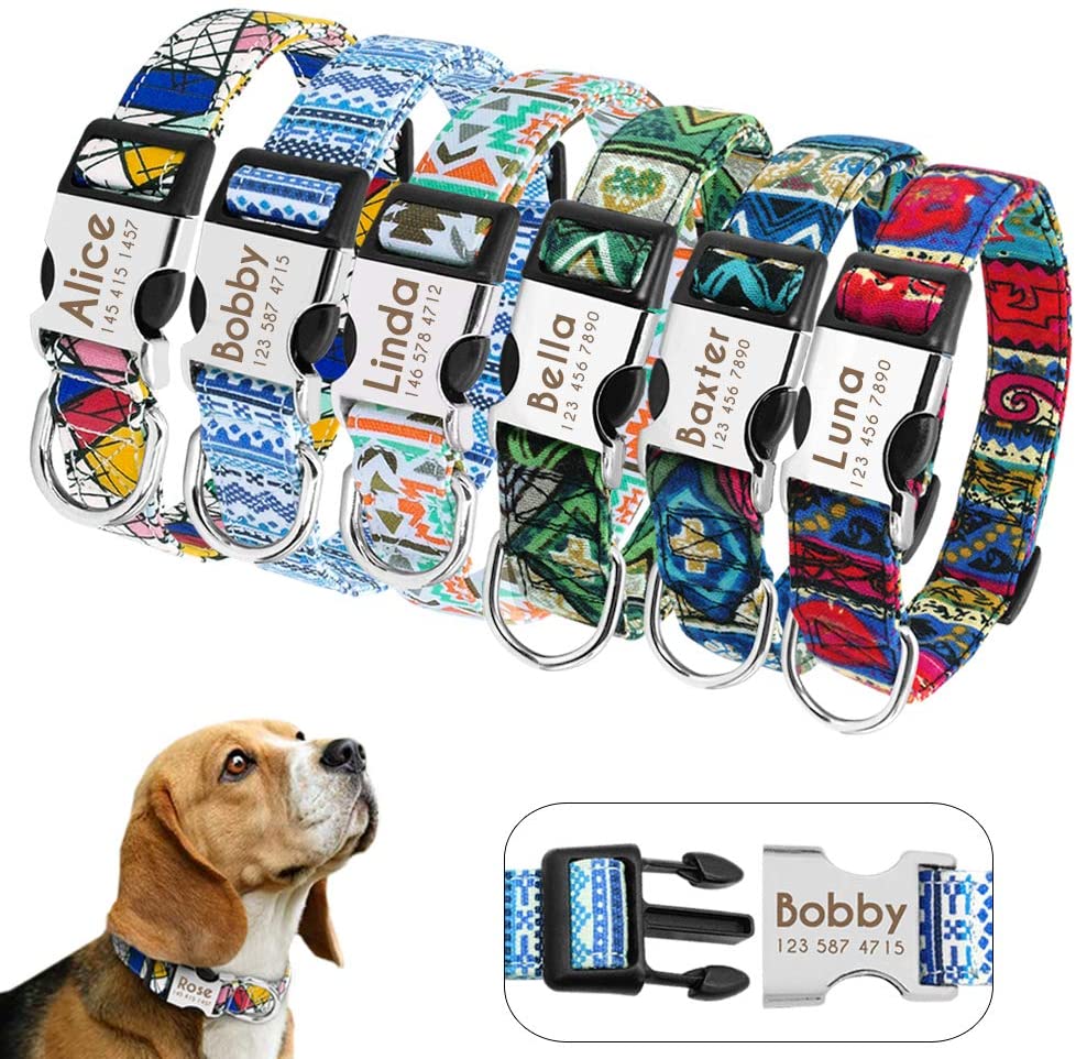  Didog - Collares personalizados para perros con hebilla de liberación rápida grabada, diseños modernos, para perros pequeños, medianos y grandes 