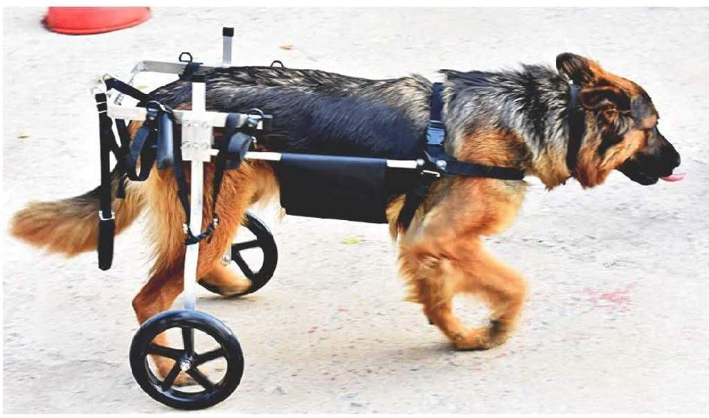  Dog wheelchair Ruedas Silla de ruedas para perros - Para perros medianos de 15 a 60 kg - Aprobado por veterinarios - Silla de ruedas para patas traseras - Para sillas de ruedas para perros / mascotas 
