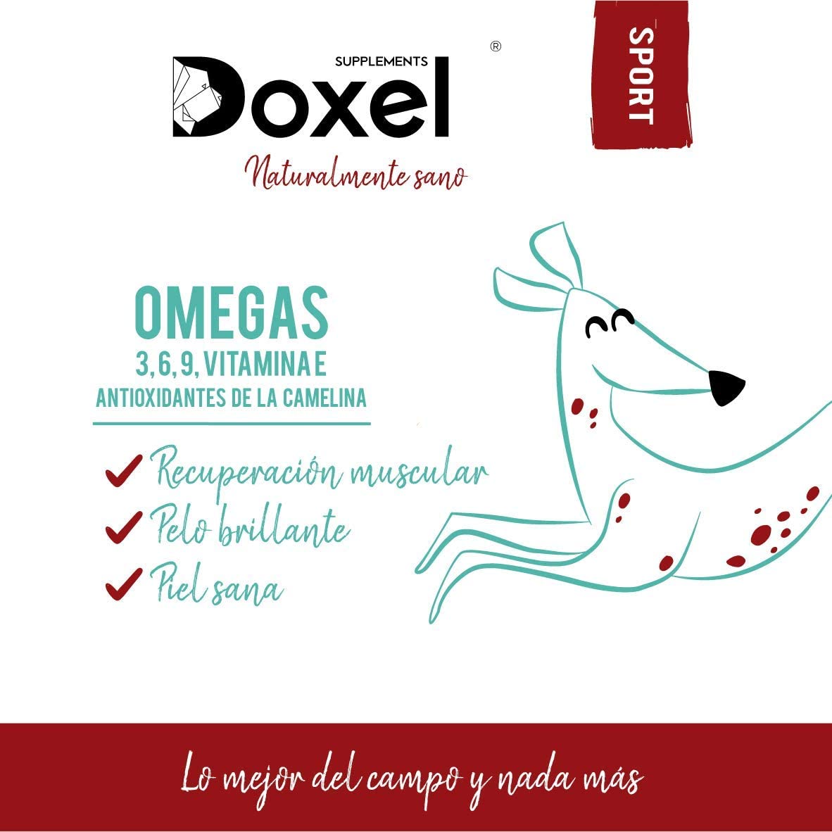  Doxel Sport - 1litro l Aceite para perros | Suplementos naturales nutricionales | Antioxidantes| Recuperación muscular| Articulaciones sanas |Sistema inmunitario reforzado| Canicross| Agility| Mushing 