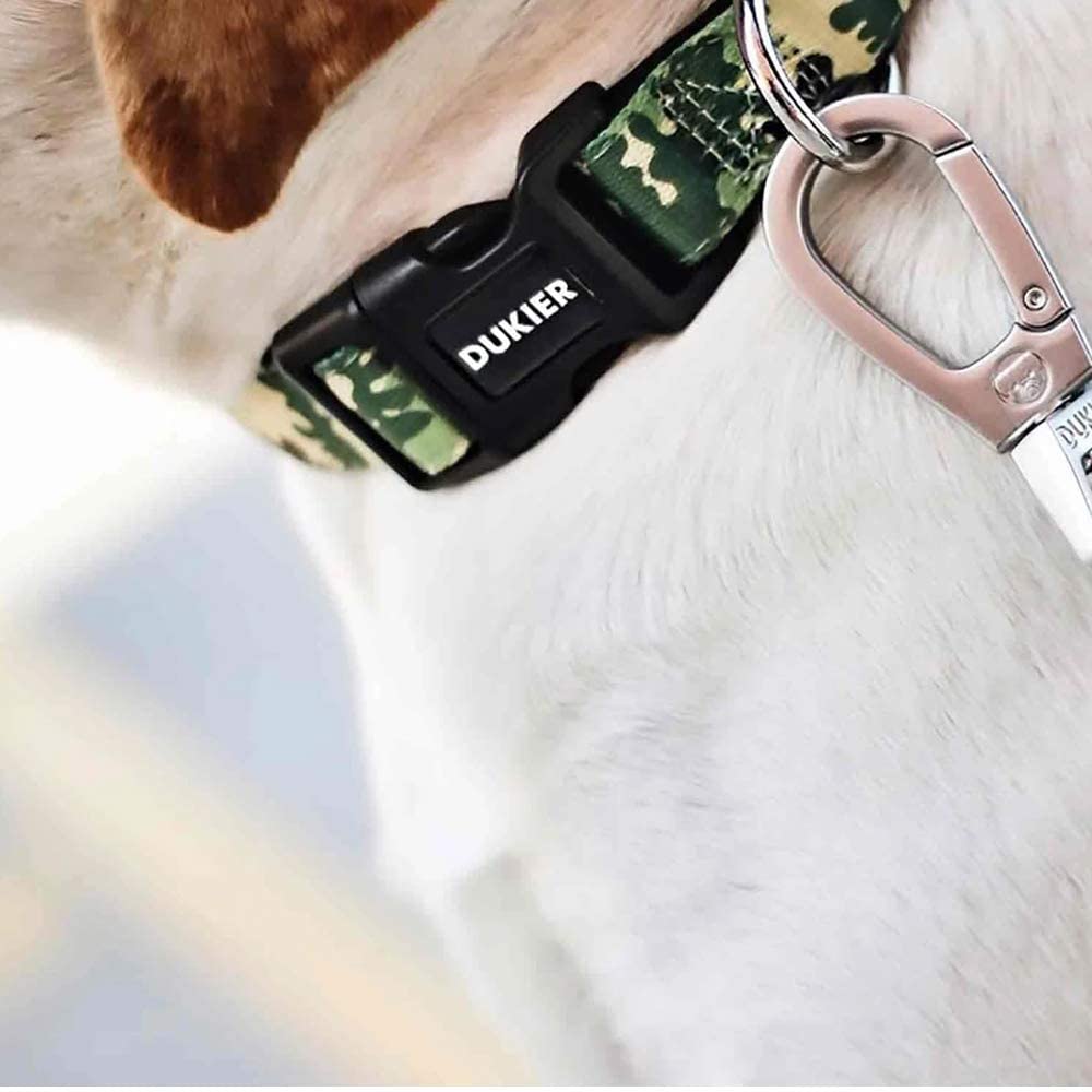  Dukier - Collar para Perro Ajustable y cómodo con Estampados Originales 