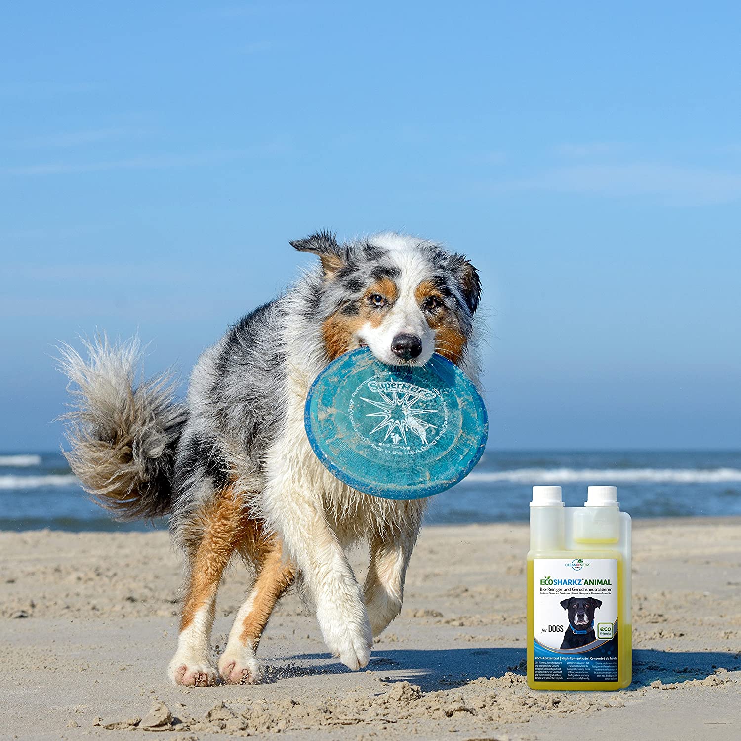  Ecosharkz neutralizador de olores en Spray para Perros - eliminador Natural de olores - Concentrado de Alto Rendimiento para Eliminar el Olor a orina (Rendimiento 25 litros listos para Usar) 