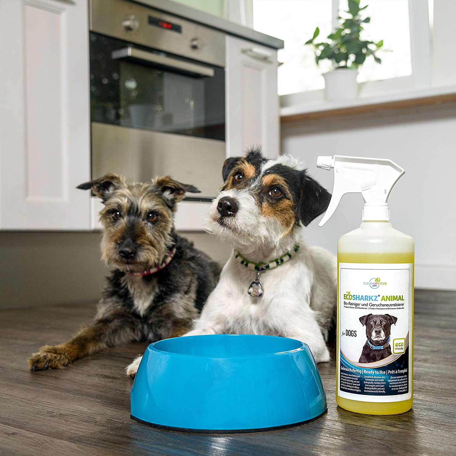  Ecosharkz neutralizador de olores en Spray para Perros - eliminador Natural de olores - Concentrado de Alto Rendimiento para Eliminar el Olor a orina (Rendimiento 25 litros listos para Usar) 