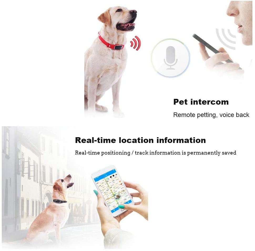  FLYM GPS para Perros, Dog Monitor de Actividad y Fitness Tracker - Ligero y Resistente al Agua, GPS para Perros Prevención de Pérdidas,Negro 