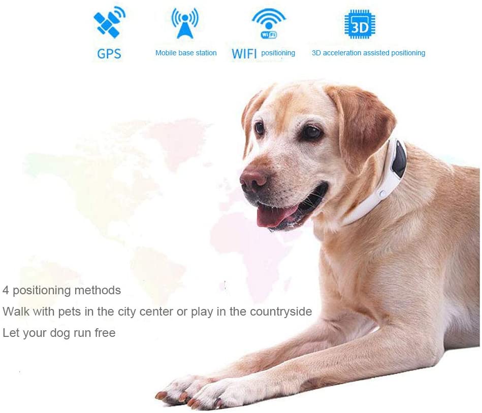  FLYM GPS para Perros, Dog Monitor de Actividad y Fitness Tracker - Ligero y Resistente al Agua, GPS para Perros Prevención de Pérdidas,Negro 
