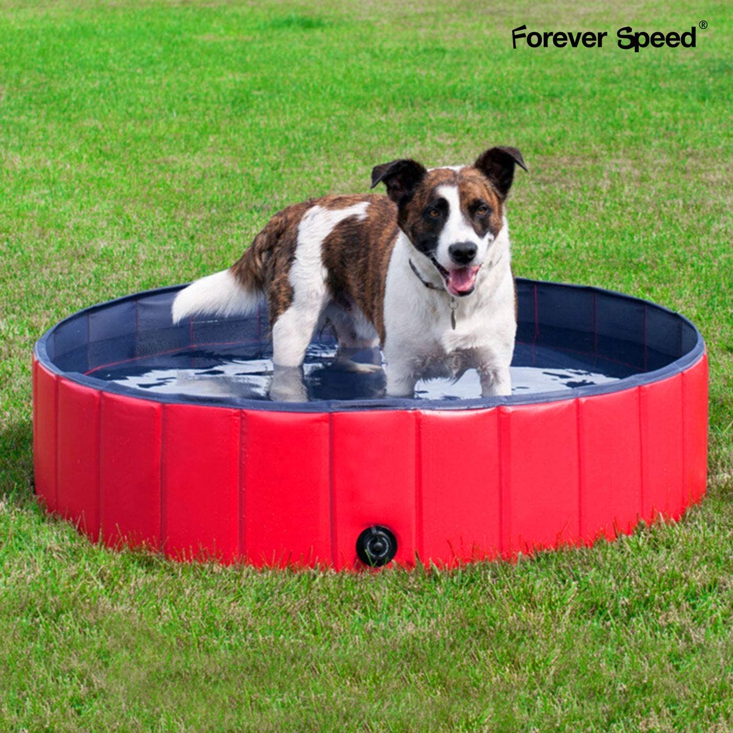  Forever Speed Piscina perros Gatos para perros grandes Portátil Bañera Baño de Mascota Plegable Piscina de Baño Doggy Pool 120 x 30 cm Rojo 
