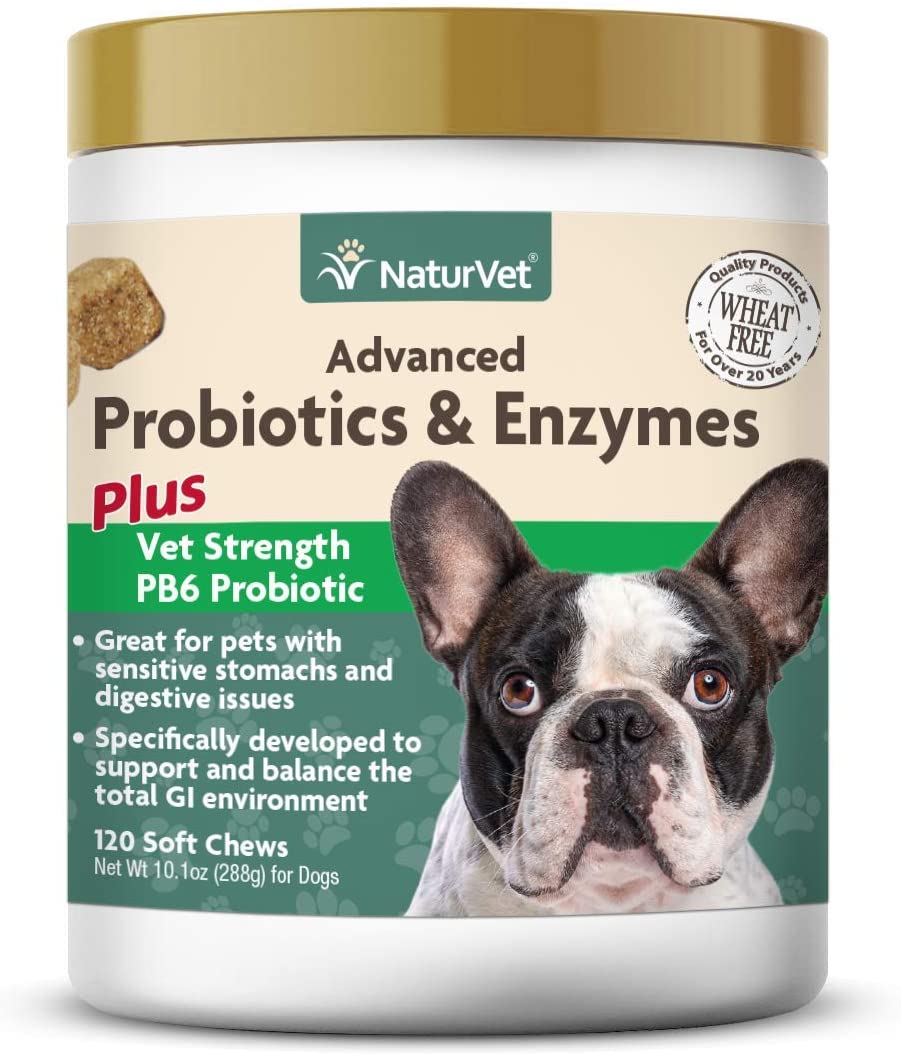  GARMON CORP NaturVet Advanced Probiotics & Enzymes Plus Vet Strength PB6 Probiotic for Dogs, Soft Chews, Made in USA 