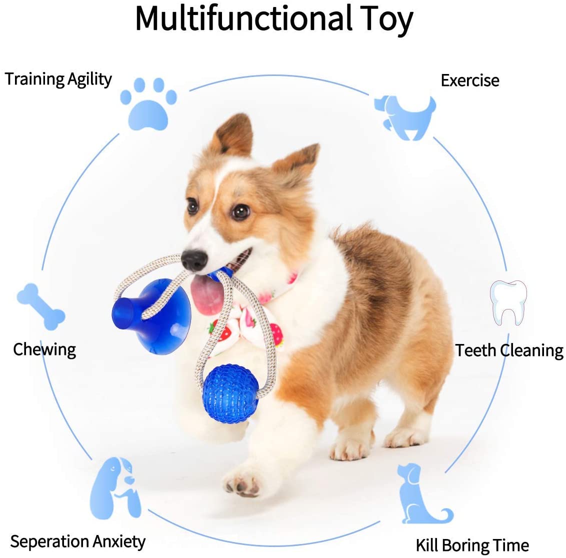  GHONLZIN Multifunction Pet Molar Bite Toy, Juguete Mordedor Mascota, Juguete Multifuncional para mordedura de Molar, Mordedura de Perro del Entrenamiento con Ventosa (Blue) 