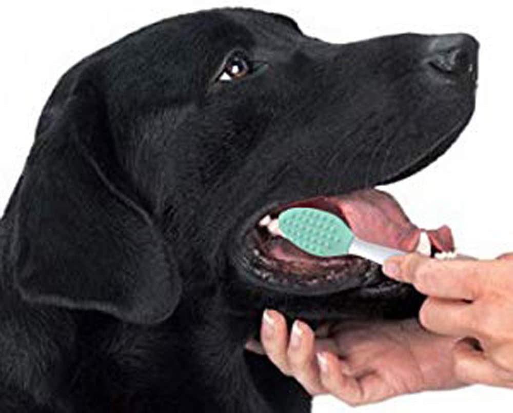  GingerUP - Perros Cepillos de dientes Juego de cepillos dentales para Perros (5 Unidades, Silicona Suave de Doble Cara, Mango Largo Curvado) 