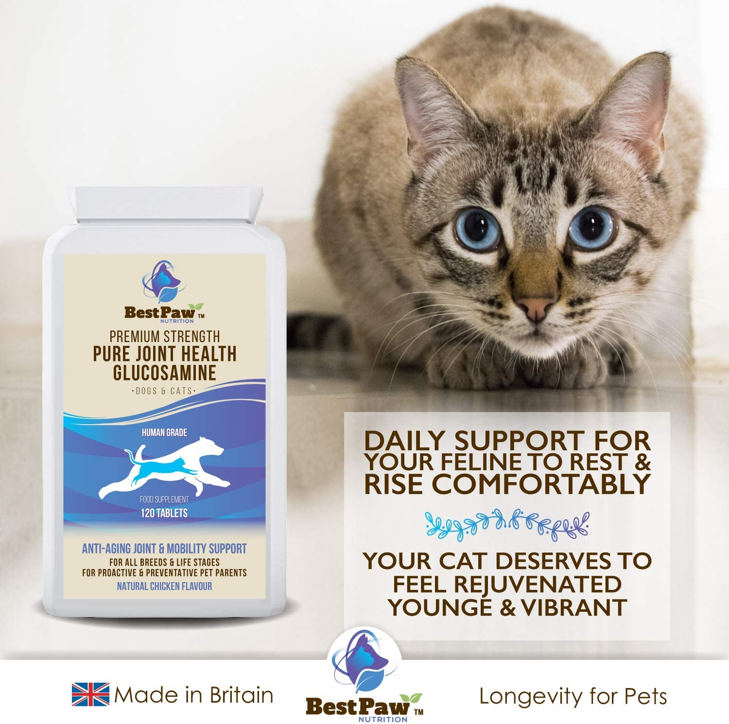  Glucosamina para perros y gatos 120 comprimidos - Vitaminas para el alivio del dolor en las articulaciones con condroitina - Suplemento natural Ayuda para el cuidado de mascotas para la movilidad 